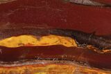 Polished Desert Sunset Banded Iron - Western Australia #96236-1